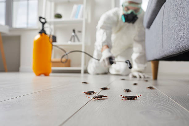 Post-Treatment Bed Bug Interceptor Monitoring in Abbeville
