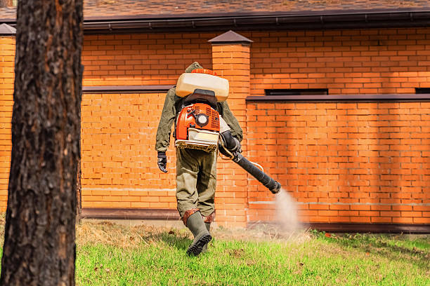 Bed Bug Clearance Verification and Documentation in Abbeville